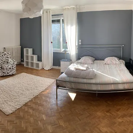 Grande Maison Avec Jardin Et Terrasse Prives Foix