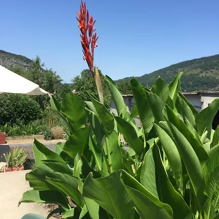 Grande Maison Avec Jardin Et Terrasse Prives * Foix