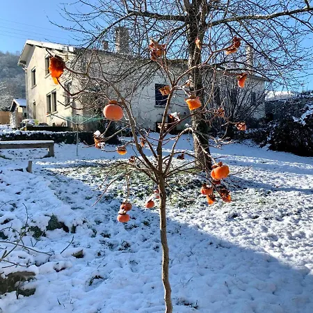 Nyaraló Grande Maison Avec Jardin Et Terrasse Prives *